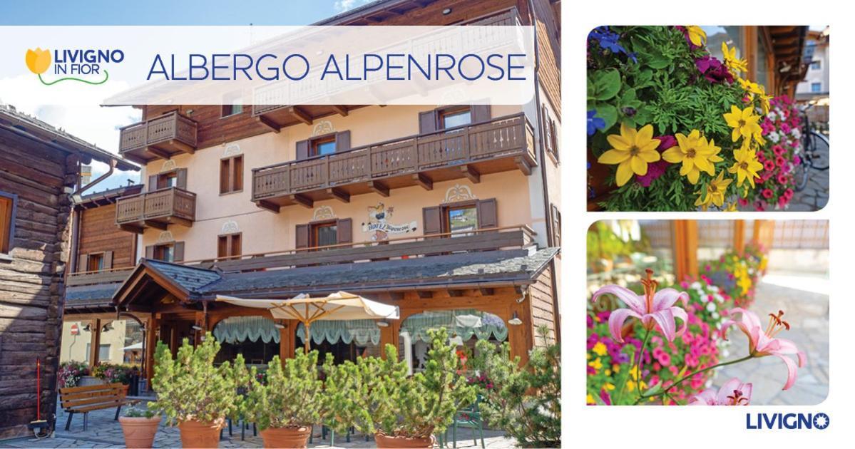 Albergo Alpenrose Livigno Dış mekan fotoğraf