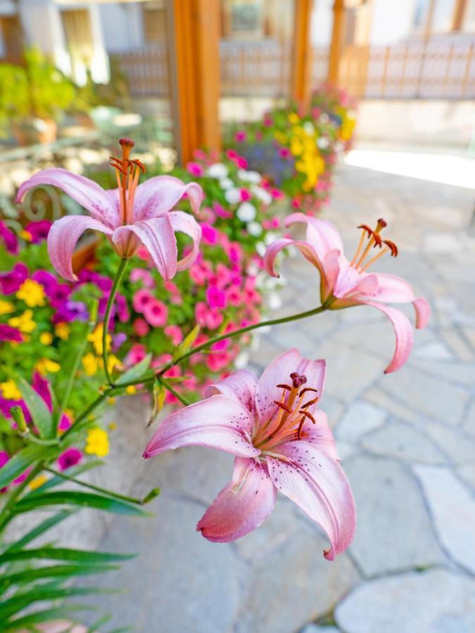 Albergo Alpenrose Livigno Dış mekan fotoğraf