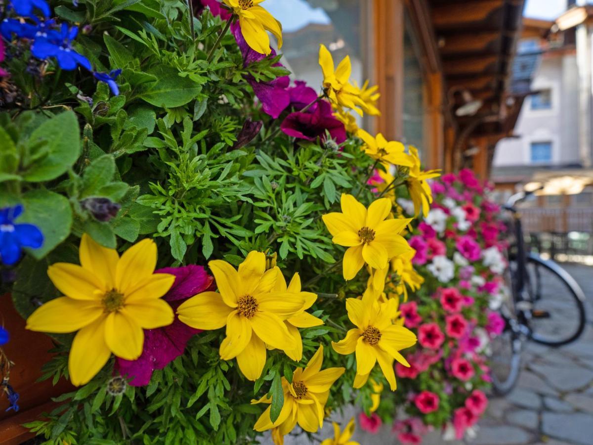 Albergo Alpenrose Livigno Dış mekan fotoğraf